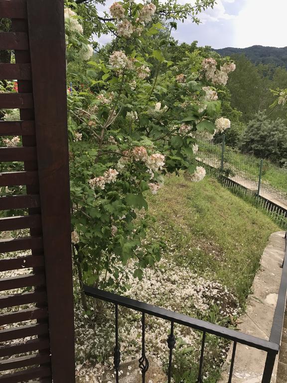 Cabana Breaza - Skyview Cottage ภายนอก รูปภาพ